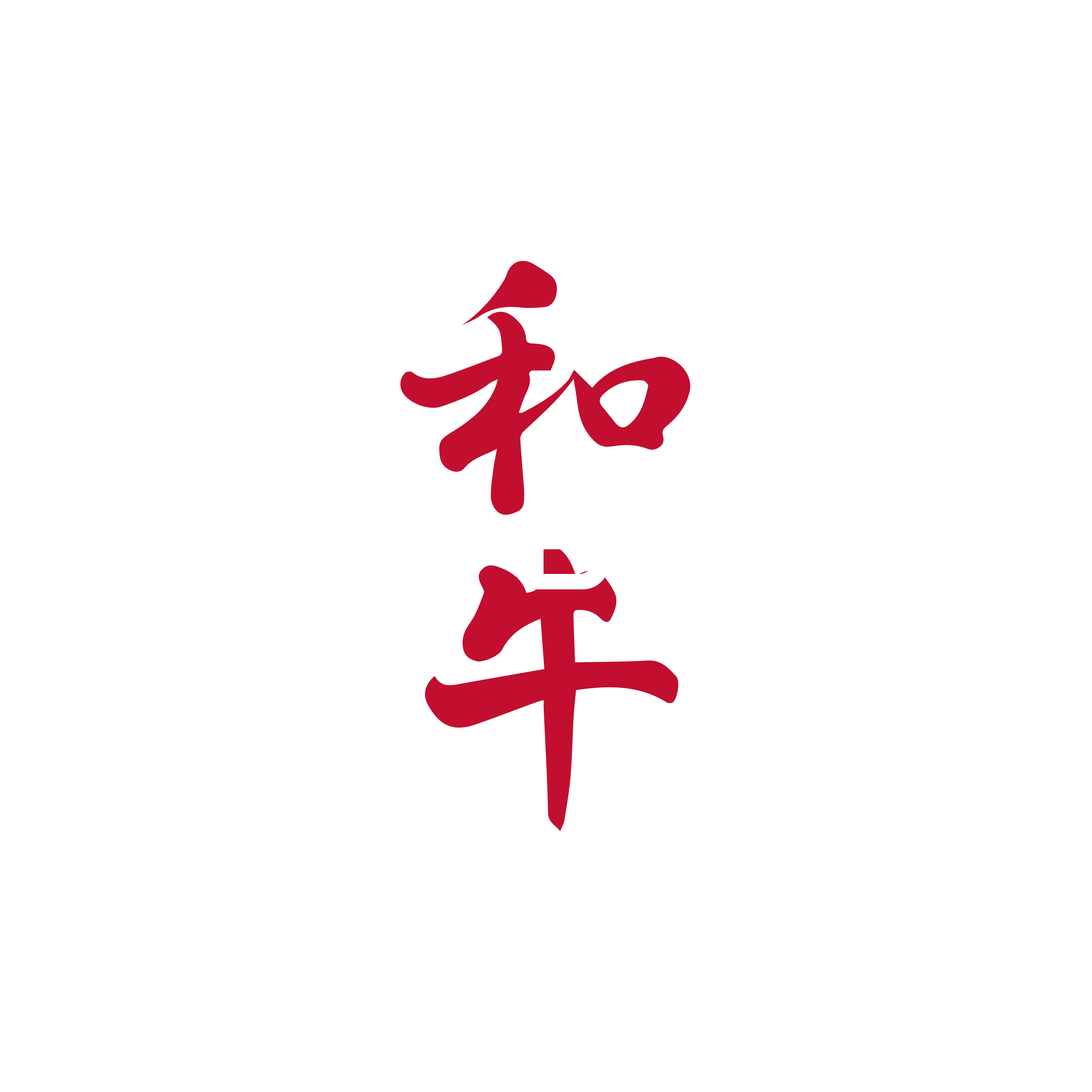 Pure Black Wagyu